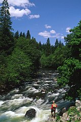 Upper Sacramento River, California